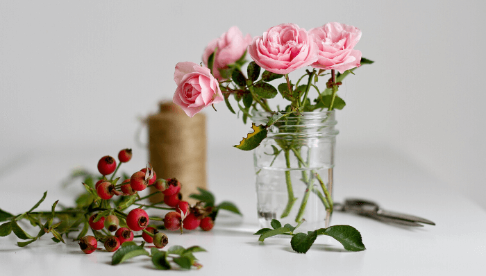 Rose hips and pink roses in a vase